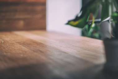 Ağaç kabı ve arkaplanı olan ahşap masanın yakın plan görüntüsü