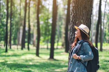 Şapkası ve sırt çantasıyla güzel bir çam ormanına bakan Asyalı bir kadın gezgin.