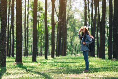 Şapkası ve sırt çantasıyla güzel bir çam ormanına bakan Asyalı bir kadın gezgin.