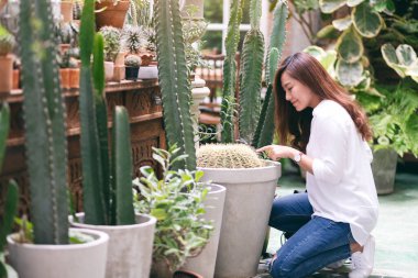 Güzel bir Asyalı kadın cam evde kaktüs gösterip ona bakıyor.