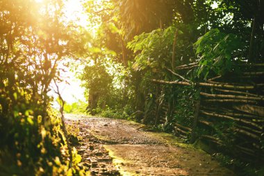 Kırsal kesimde gün batımı