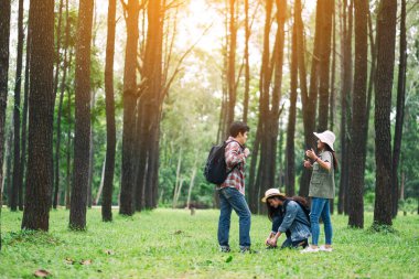 Güzel bir çam ormanında yürürken birbirleriyle konuşan bir grup gezgin.