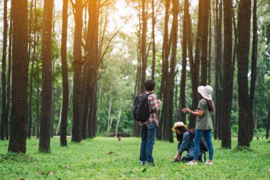 Güzel bir çam ormanında yürürken birbirleriyle konuşan bir grup gezgin.