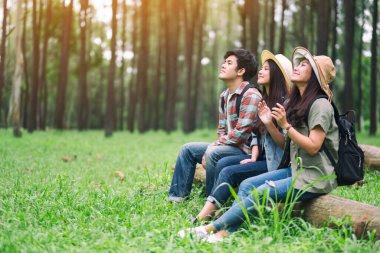 Bir grup gezgin bir kütüğe oturup güzel bir çam ormanına bakıyorlar.