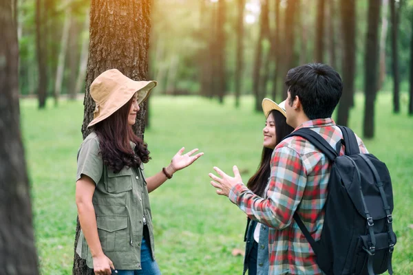 Grupo Viajeros Hablando Entre Mientras Caminan Hermoso Bosque Pinos — Foto de Stock