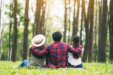 Bir grup gezgin yeşil çimlerde oturuyor ve güzel bir çam ormanına bakıyor.