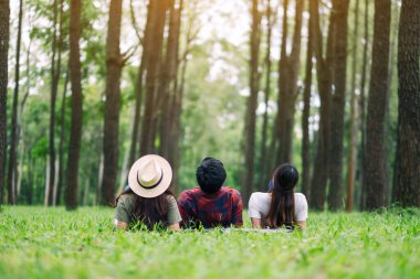 Bir grup gezgin yeşil çimlere uzanıp güzel bir çam ormanına bakıyorlar.