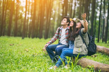 Bir grup gezgin bir kütüğe oturup güzel bir çam ormanına bakıyorlar.