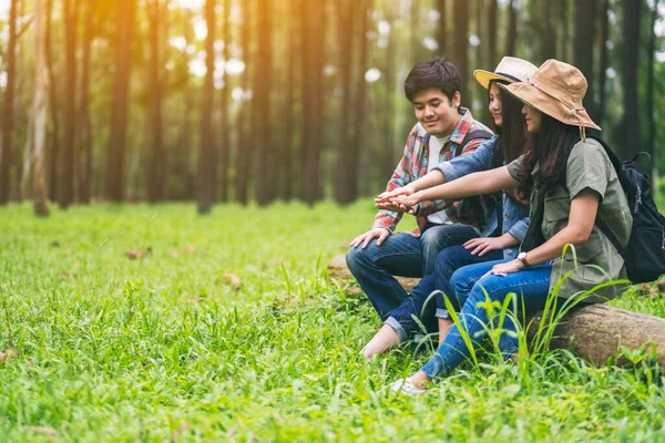 Bir grup gezgin bir kütüğe oturup güzel bir çam ormanına bakıyorlar.