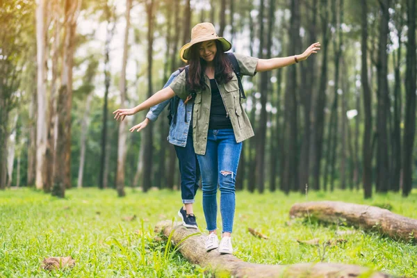 Bir grup gezgin ormanda yürürken kütükte yürüyor.