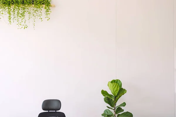 Une Chaise Des Arbres Avec Fond Mural Blanc — Photo