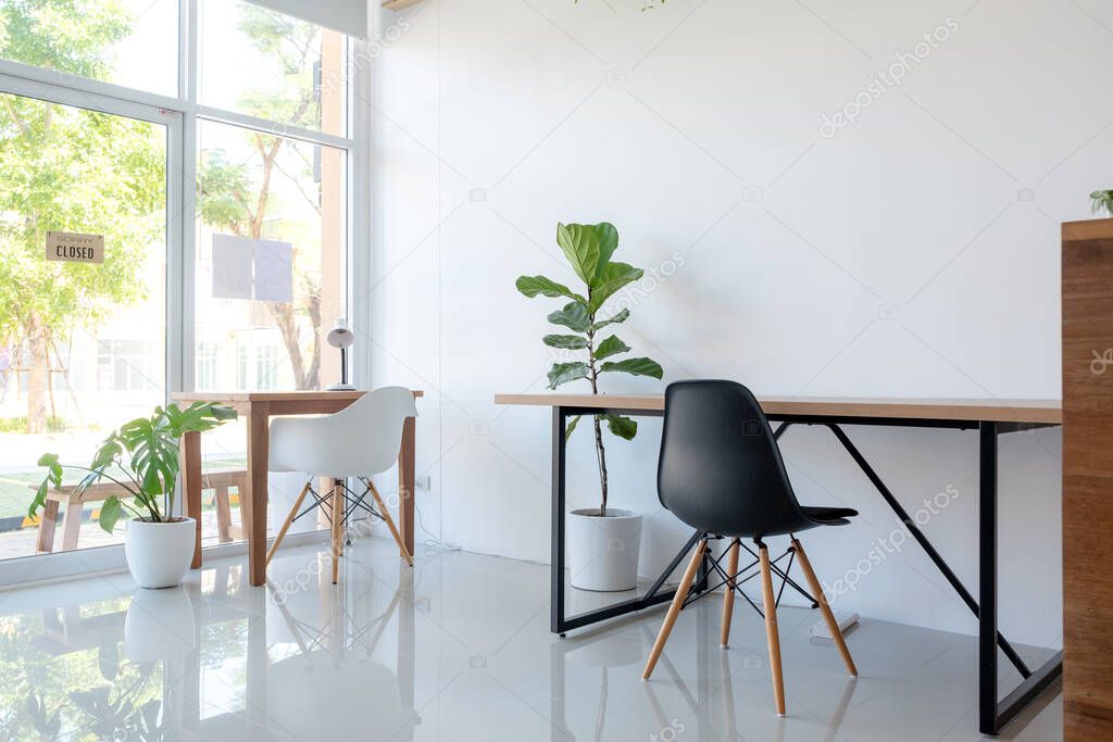Wooden tables and chairs with trees decorative in white modern office