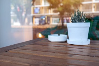 Kaktüsün tenceredeki görüntüsü ve ahşap masa üzerinde bulanık bir kül tablası.