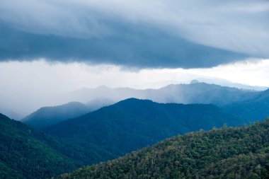 Bulutlu gökyüzü arkaplanlı sisli bir günde yeşil yağmur ormanı tepelerinin manzara görüntüsü