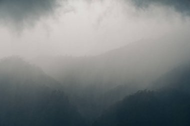 Yağmurlu bir günde yeşil yağmur ormanı tepelerinin manzarası bulutlu gökyüzü arkaplanıyla