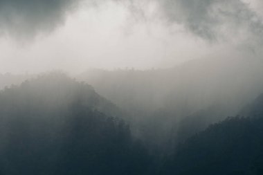 Yağmurlu bir günde yeşil yağmur ormanı tepelerinin manzarası bulutlu gökyüzü arkaplanıyla