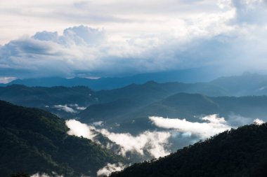 Mavi gökyüzü arka planına sahip sisli bir günde yeşil yağmur ormanı tepelerinin manzara görüntüsü