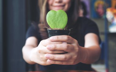 Asyalı bir kadının ağaç kabında kalp şeklinde kaktüs tutarken ve verirken ki görüntüsü.