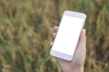 Boş masaüstü ekranı ve bulanık yeşil arka planı olan beyaz cep telefonunu tutan bir elin görüntüsü