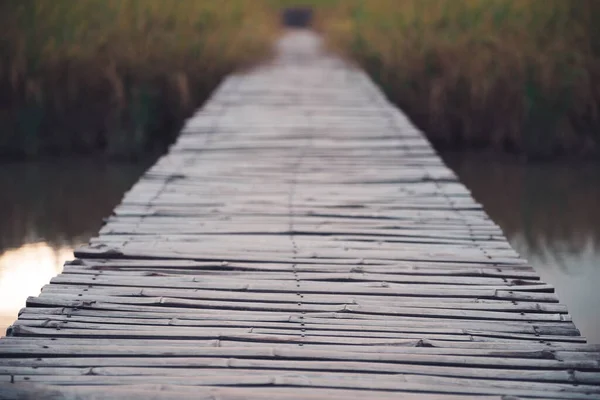 Старий Бамбуковий Дерев Яний Міст Над Річкою Рисовим Полем — стокове фото