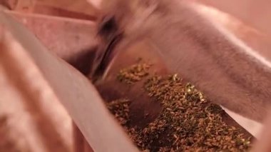 Devekuşu Çiftliği Ukrayna, çit, Devekuşları yürüyüş büyük bir çiftlik, kuşlar, komik kuşlar, sınırlı koşullarda hayvan yaşamı, iş için komik planları üzerinde büyük kuşlar faaliyetleri çiftlik