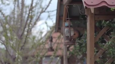 Devekuşu Çiftliği Ukrayna, çit, Devekuşları yürüyüş büyük bir çiftlik, kuşlar, komik kuşlar, sınırlı koşullarda hayvan yaşamı, iş için komik planları üzerinde büyük kuşlar faaliyetleri çiftlik