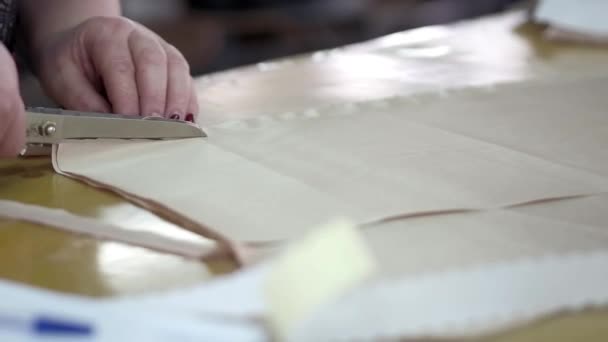 Trabaje en una fábrica de costura, máquina de coser moderna, fábrica de costura, vestidos, pantalones, faldas, suéteres, camisetas, material de costura, costurera de tiro en el trabajo, industria de la moda — Vídeos de Stock