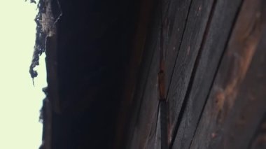 Eski bir Slav pagan şehir inşa ahşap, bir tarihi film, eski ahşap kiliseler ve evler için mükemmel sahne, bir Ortodoks çapraz, yaz saati, hiçbir insan çerçevesinde, eski Kiev