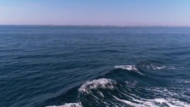 Black and Azov Sea, the territory of the conflict of Ukraine and Russia, the waters in which fired Ukrainian ships, the war of Russia with Ukraine, shooting the sea near Crimea, clear sunny weather — Stock Video