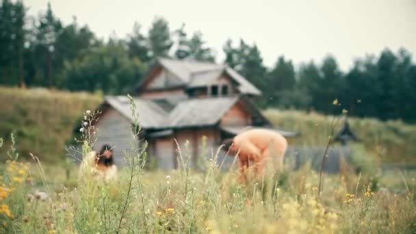 Una antigua ciudad pagana eslava construida de madera, excelente escenario para una película histórica, antiguas iglesias y casas de madera, una cruz ortodoxa, hora de verano, sin gente en el marco, viejo Kiev — Vídeo de stock