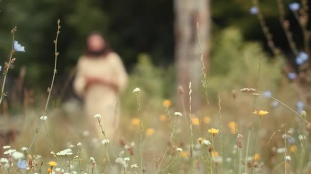 En forntida slaviska hedniska stad byggd av trä, utmärkt vacker natur för en historisk film, gamla träkyrkor och hus, en ortodoxa kors, sommartid, inga människor i ramen, gamla Kiev — Stockvideo