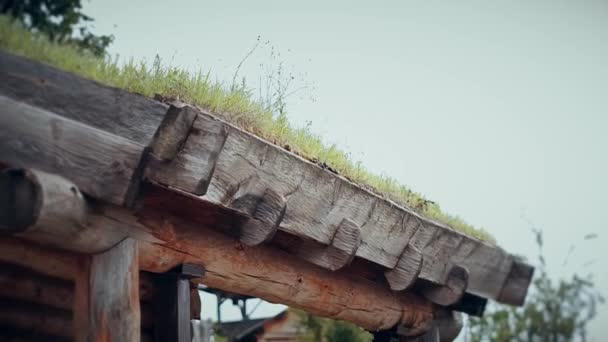 En forntida slaviska hedniska stad byggd av trä, utmärkt vacker natur för en historisk film, gamla träkyrkor och hus, en ortodoxa kors, sommartid, inga människor i ramen, gamla Kiev — Stockvideo