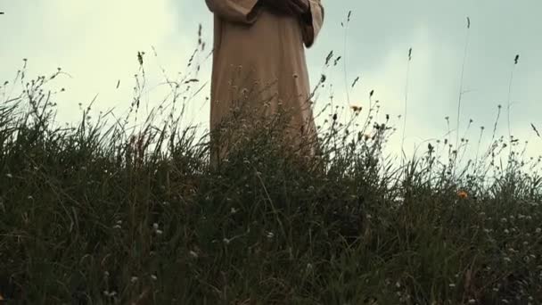 Een oude Slavische heidense stad gebouwd van hout, uitstekende landschap voor een historische film, oude houten kerken en huizen, een orthodoxe kruis, zomertijd, geen mensen in het frame, oude Kiev — Stockvideo