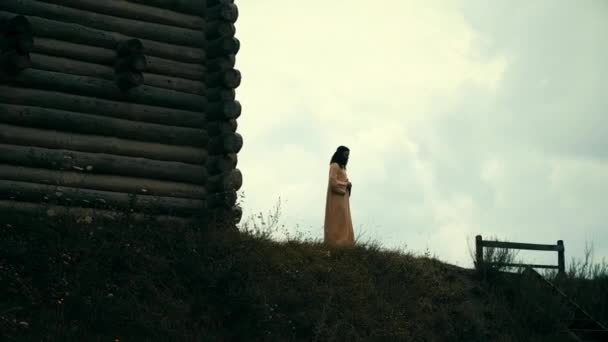 Een oude Slavische heidense stad gebouwd van hout, uitstekende landschap voor een historische film, oude houten kerken en huizen, een orthodoxe kruis, zomertijd, geen mensen in het frame, oude Kiev — Stockvideo