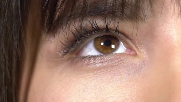 Der müde matte Blick eines Mädchens, das mit dem Leben unzufrieden ist, das Mädchen ist ihres Mannes müde und das in ihren Augen liest, schöne braune Augen, der gequälte Blick einer jungen Frau — Stockvideo