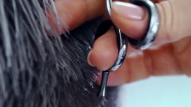 Yavaş hareket kaybetmek yukarıya shot saç kesimi ile makas