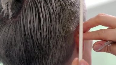 Yavaş hareket kaybetmek yukarıya shot saç kesimi ile makas