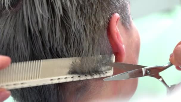 Slow motion förlorar upp shot hår klippning med siorar — Stockvideo