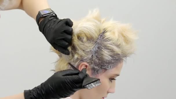 Hairdresser causes the Paint to the Roots of the Model, Close up — Stock Video