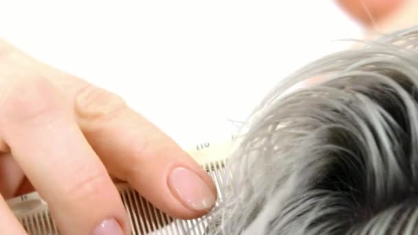 Mostra tagli di capelli utilizzando pettini al rallentatore primo piano — Video Stock