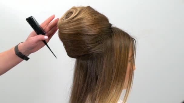 Cabeleireiro profissional demonstra penteado acabado e completa alterações — Vídeo de Stock