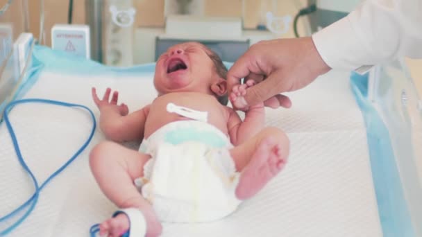 Pasgeborene in reanimatie plaats — Stockvideo