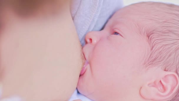 Lactancia materna Recién nacido Primer plano — Vídeo de stock