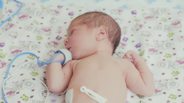 Yenidoğan Doğum Hastanesinde Uykuda — Stok video