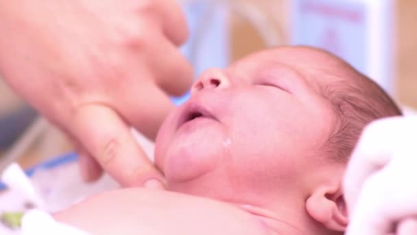 Мама ніжно витирає рот новонародженого — стокове відео