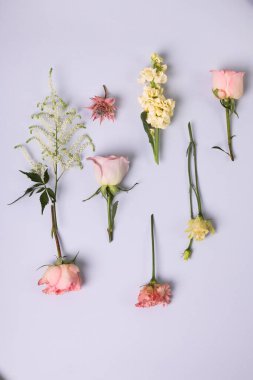 Kutlama havası için çiçek arkaplanı