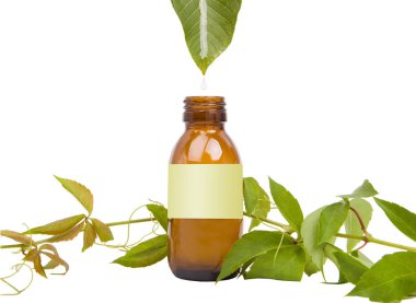 Kahverengi şişe, yaprak. Bottl düşen bırak