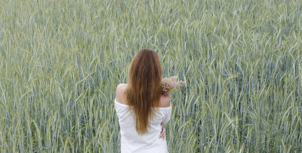 Woman in a wheat field. Girl in a wheat field of grain.