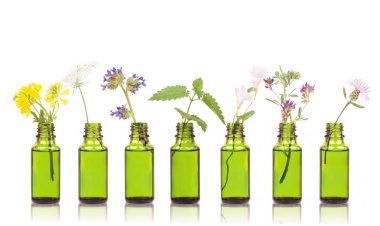 Natural remedies, aromatherapy - bottle. Bottles of essential oil with herbs holy flower. clipart