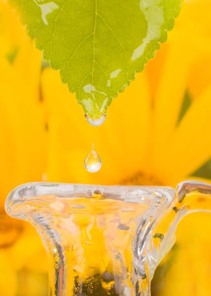 ガラスの水差し 葉を落とす ピペットの不可欠な液体で クローズ アップ — ストック写真